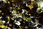 A Drop In The Cosmos - Image 5
