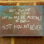' Not Too Fast (Haiku #1) '