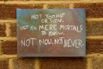 ' Not Too Fast (Haiku #1) '