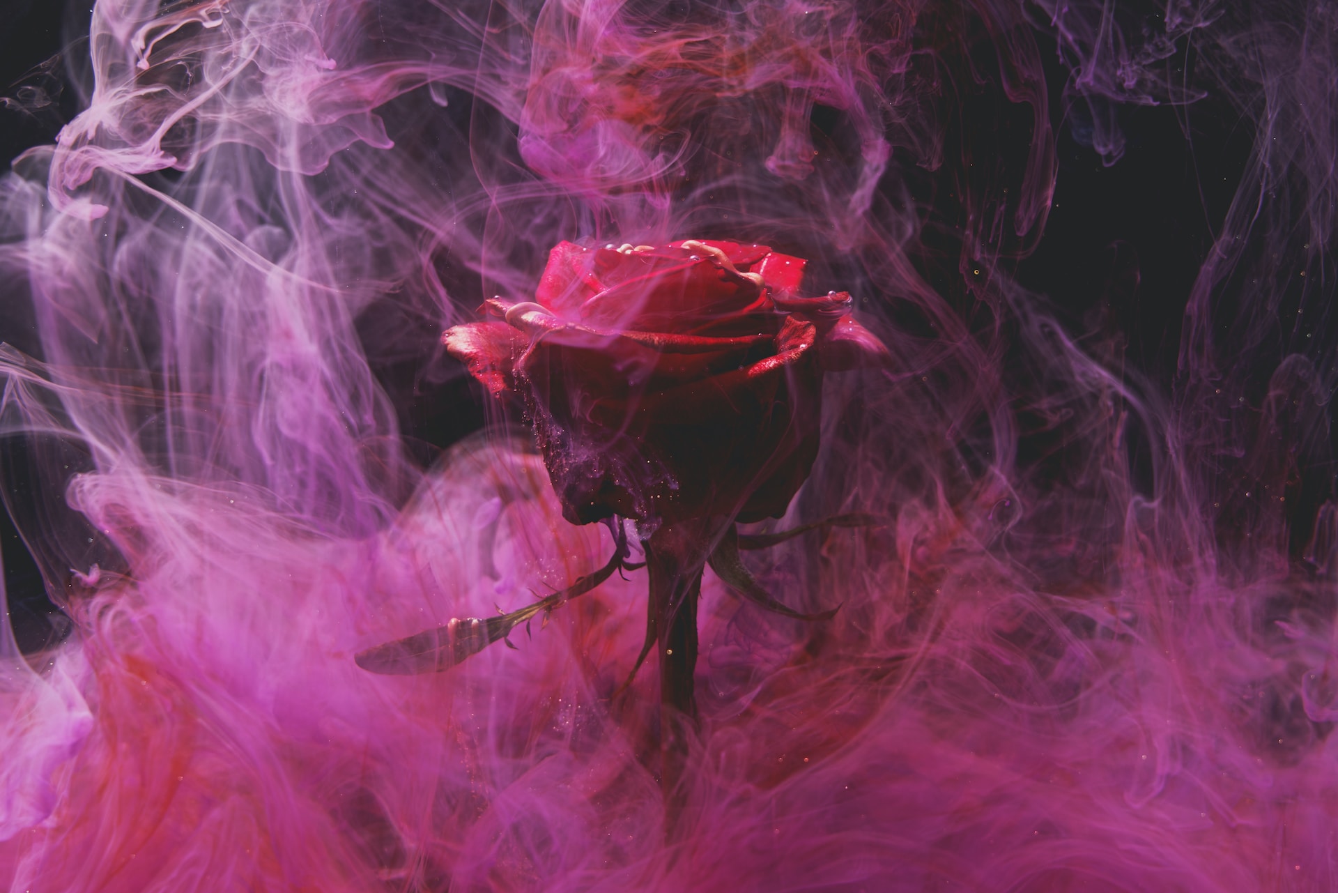 Paint Your Love