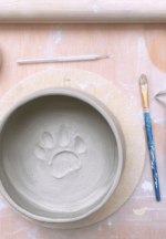 Pottery class for pet owners